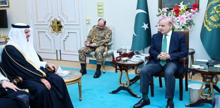 PM Shehbaz
