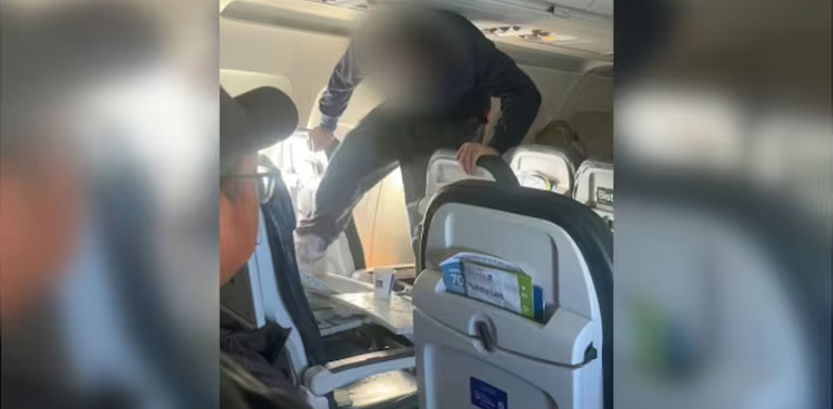 Viral, Video, United Airlines