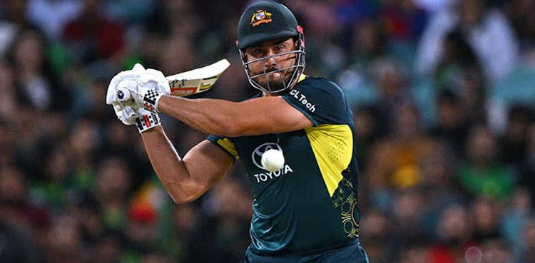 Pak vs Aus, Muhammad Rizwan, Naseem Shah, Pakistan, Australia, Marcus Stoinis