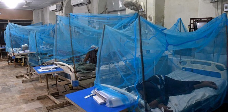 Dengue, Dengue cases, Punjab, Health