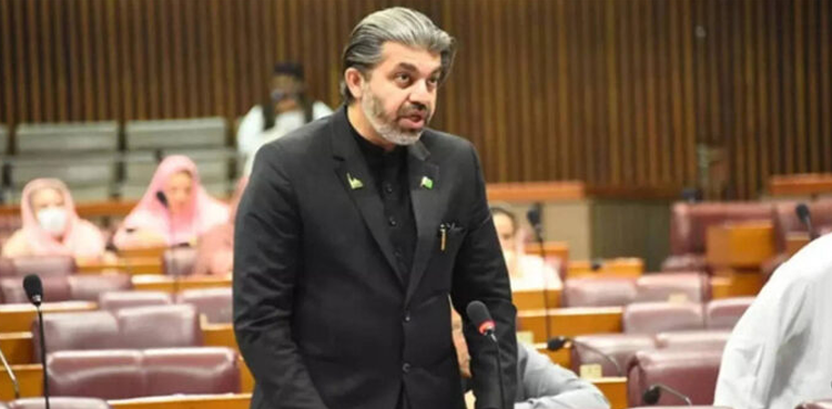 Imran Khan PTI, PTI, Ali Muhammad Khan, Asif Zardari, new year