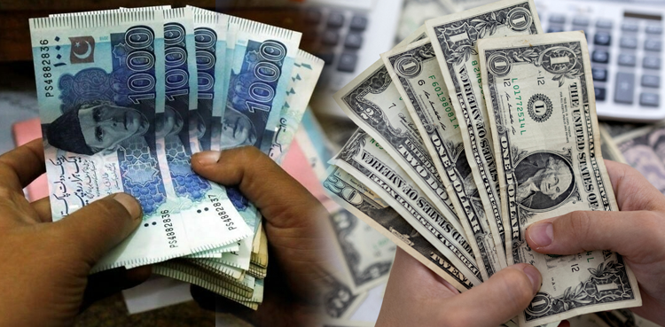 Profit repatriation in Pakistan, Pakistan, Pakistan Economy, Economy news, Profit repatriation