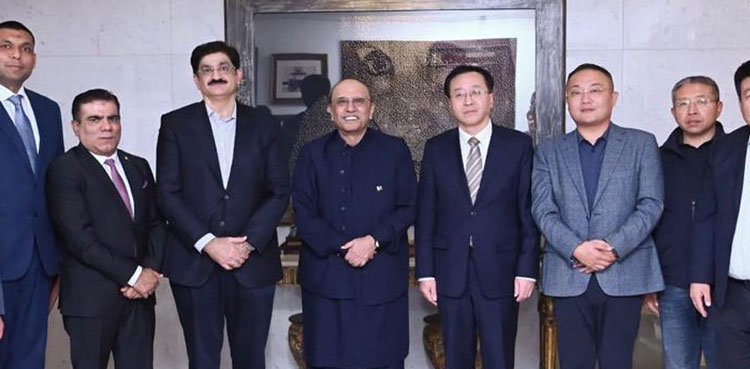 Zardari Chinese business delegation