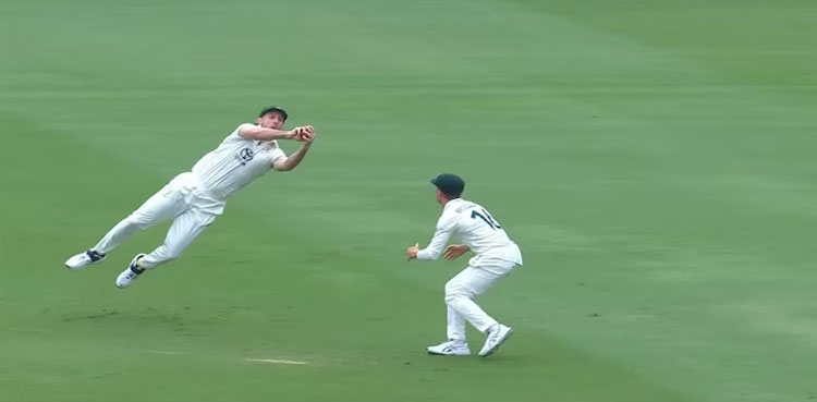 Mitchel Marsh, Mitchel Marsh catch