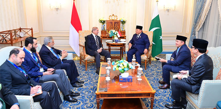 PM Shehbaz Indonesia president