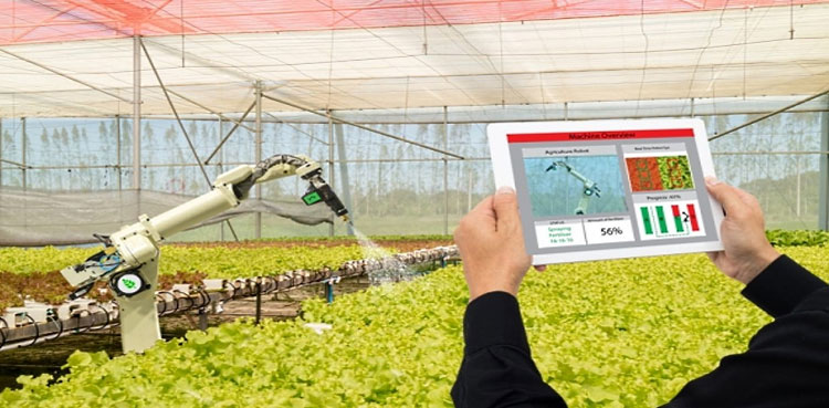 PM Shehbaz, AI, agri production