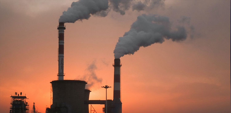 carbon market policy