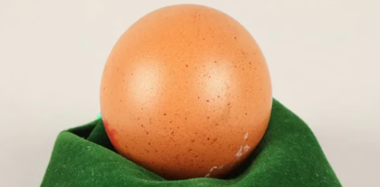 egg sold, viral news, rare news,