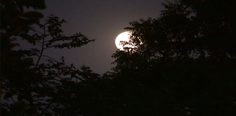 Longest Night of Year, Pakistan, year 2024