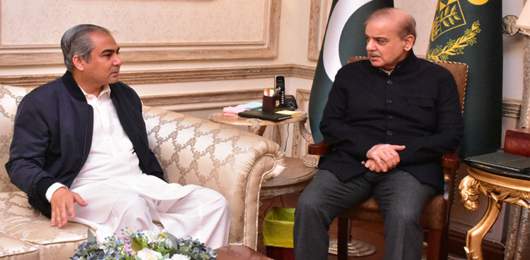 PM Shehbaz Sharif, PCB, Mohsin Naqvi , Champions Trophy 2025