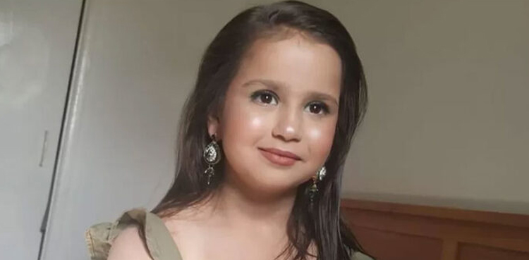 Sara Sharif, UK MPs, safeguards children