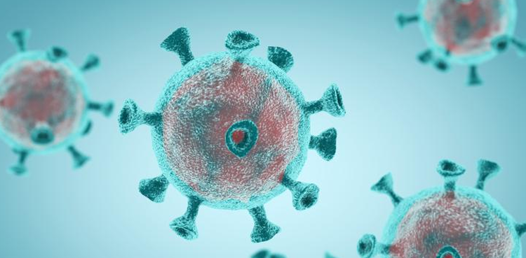 COVID-19, Influenza H1N1, Karachi