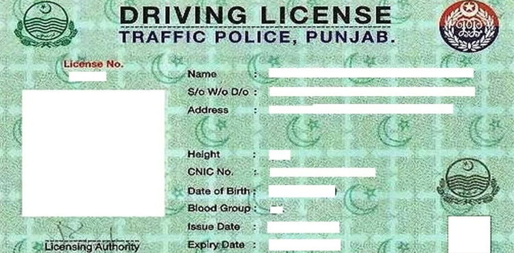 Punjab driving license