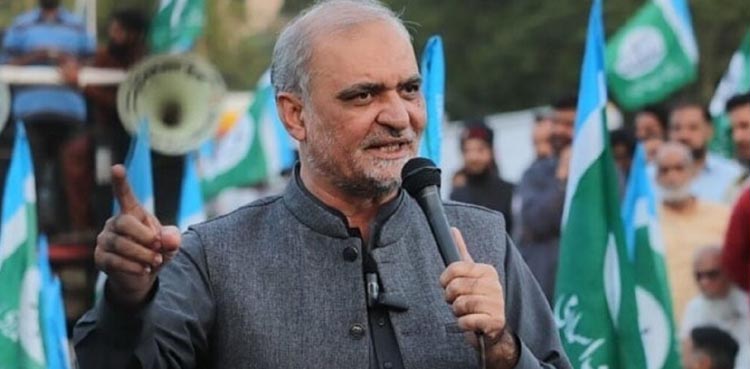 Hafiz Naeem, tax exemption, salaried class