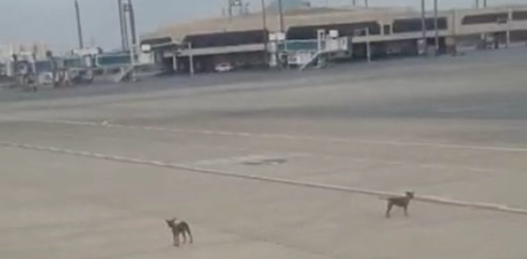 Karachi, Jinnah International airport,