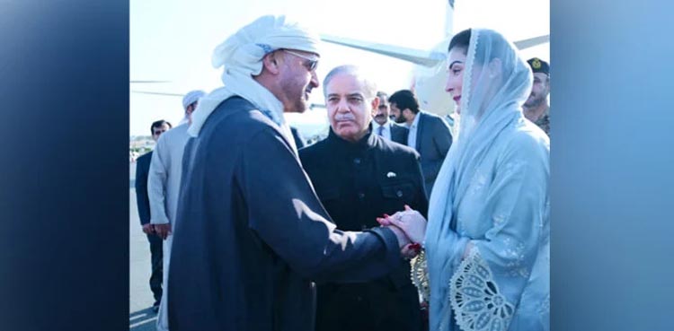 Maryam Nawaz UAE president, Imran Riaz, Shahbaz Gill