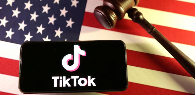 TikTok Elon Musk buy