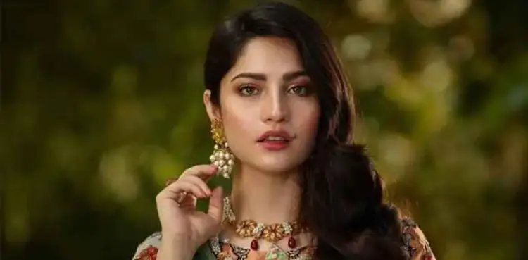 Pakistani actress, Neelam Muneer, wedding festivities, Mayoun Night