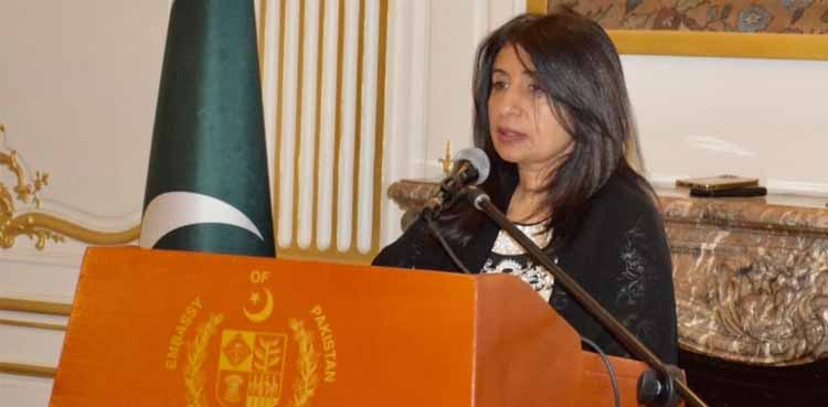 Kashmir Solidarity Day, Embassy of Pakistan, France , Paris