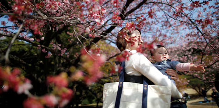 Japan, Birthrate, Japan 2024, Birth rate in Japan