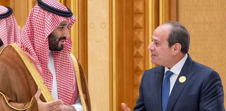 Saudi Arabia leads Arab scramble to counter Trump's Gaza plan