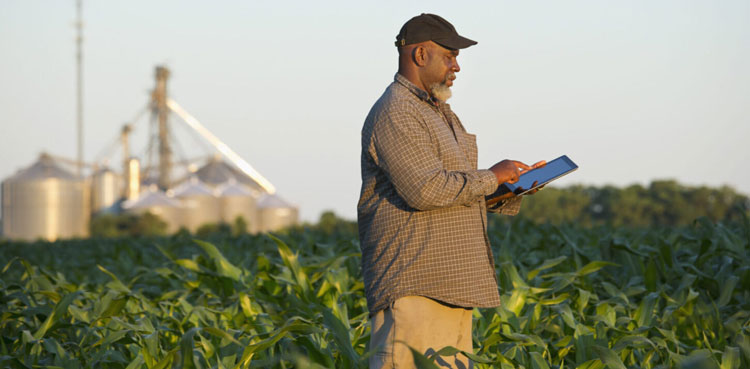 USDA freezes farmer funding for some programs