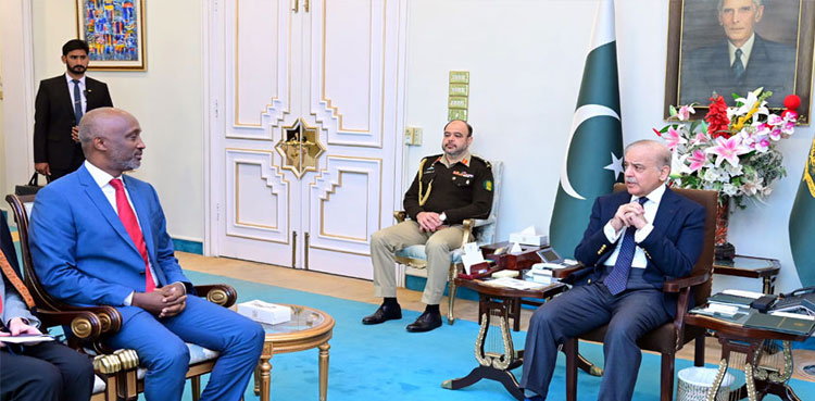 PM Shehbaz