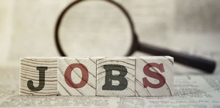 government jobs