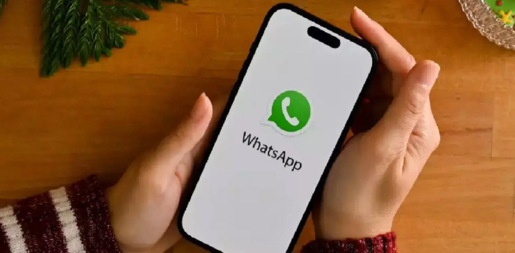 WhatsApp, usernames feature, WhatsApp privacy update, WhatsApp new feature