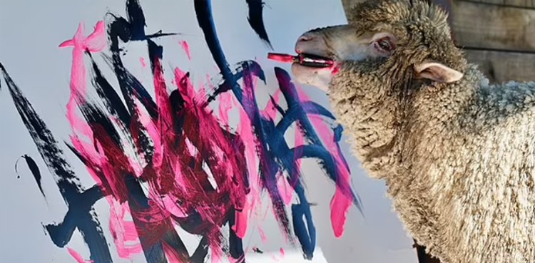 world’s only painting sheep, BAAnksy