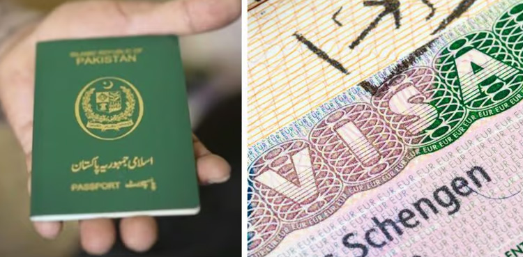 Multiple Entry, Schengen Visa, guide