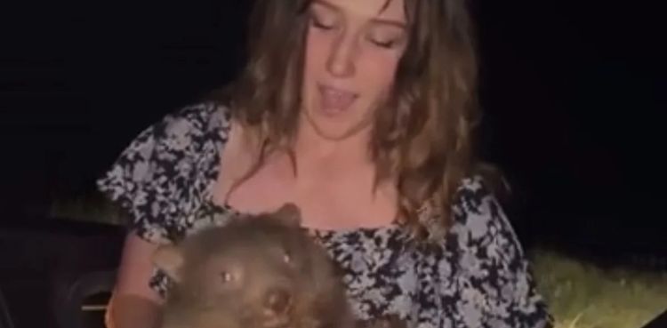 Australian Wombat, viral video, Sam Jones