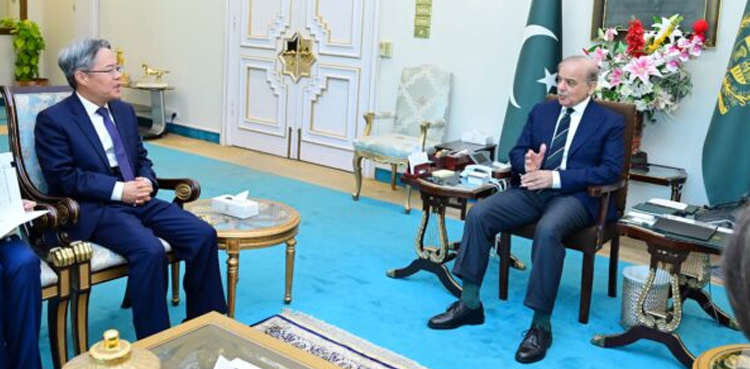 Chinese ambassador, Jiang Zaidong, PM Shehbaz