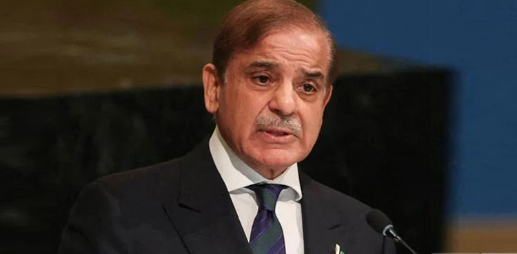 PM Shehbaz