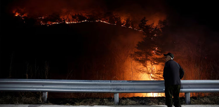 South Korea wildfires