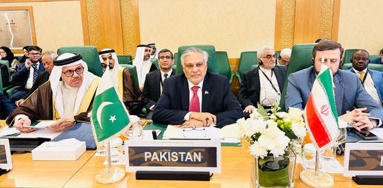 Ishaq Dar, OIC