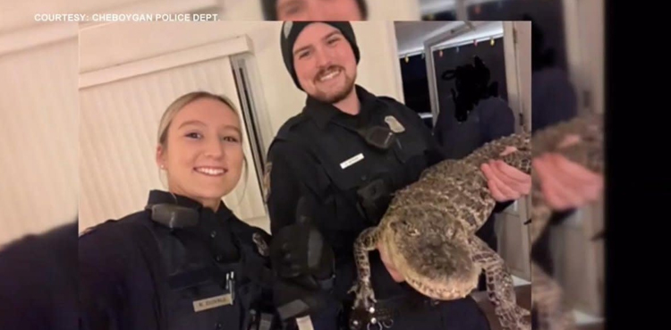 Friendly alligator, Michigan motel, Cheboygan County, viral