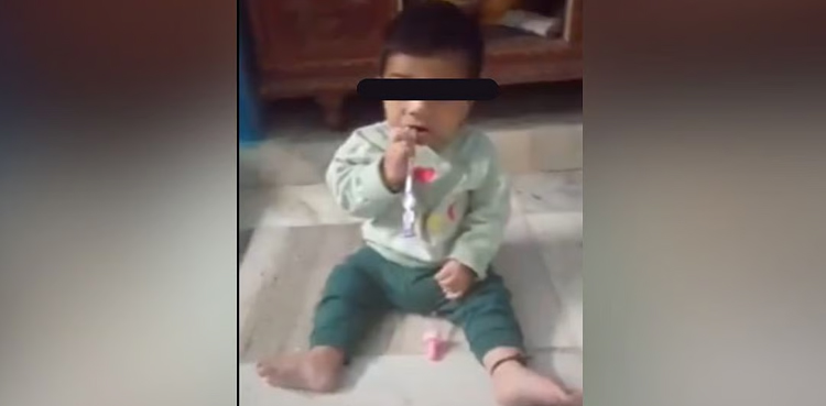 soft drink cap, Baby swallow