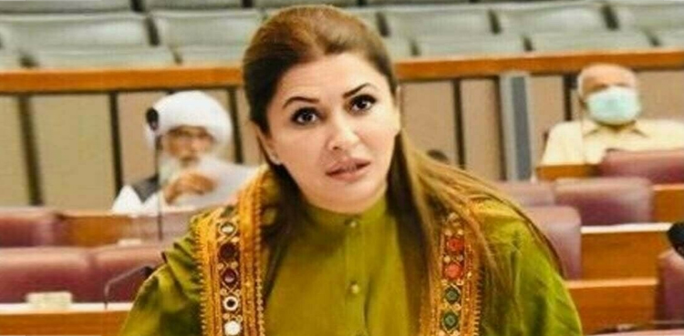 policy for alternative energy, federal government, PPP criticism