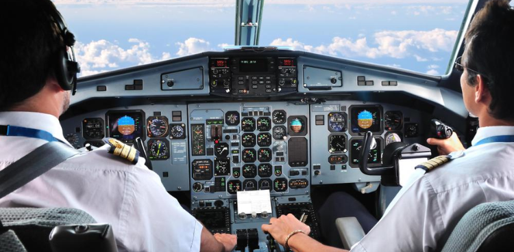 viral, viral story, united airlines, passport, pilot