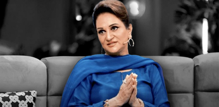 Bushra Ansari, Ducky bhai, viral, viral video