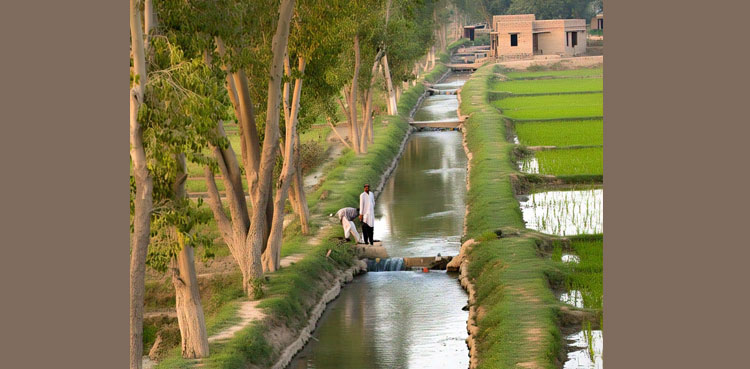 Pakistan’s Canal Irrigation System Explained