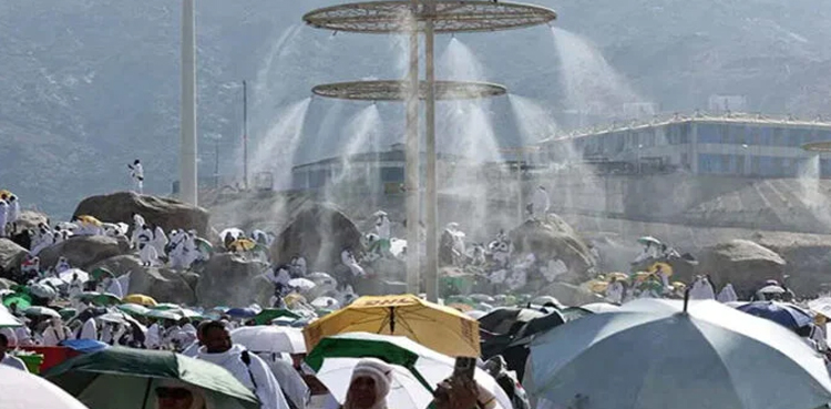 Hajj 2025-Pakistan, Pakistan, pilgrims died , holy pilgrimage