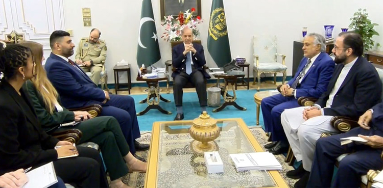 PM Shehbaz Sharif-Lord Wajid Khan, Lord Wajid Khan, UK Pakistan