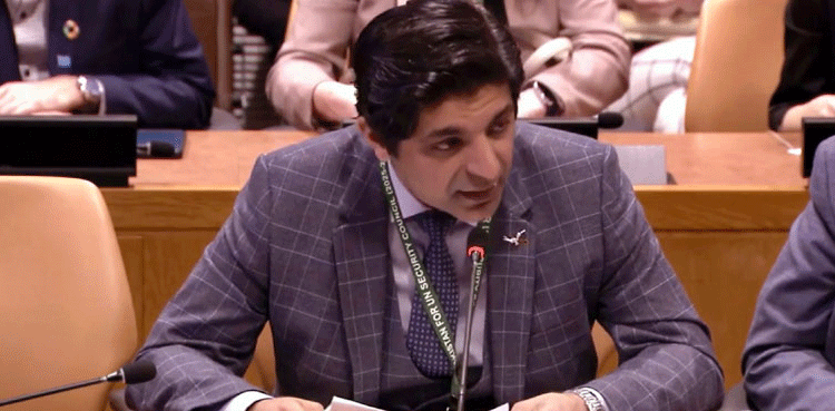 Pakistan-UN-mission-India-terrorism