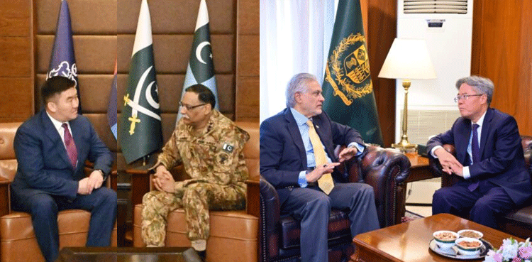 Pakistan, Chinese, SCO, regional situation, Shanghai Cooperation Organization