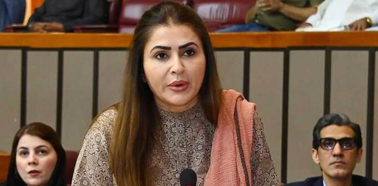 Canal Project, Shazia Marri, PPP, PPP leader, Federal government, Sindh government