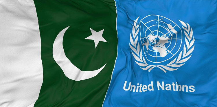 UN, Pakistan, economy, gdp