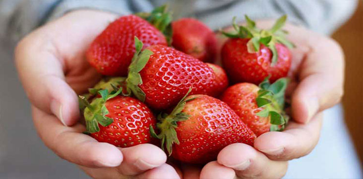 Strawberry, Strawberry pesticides
