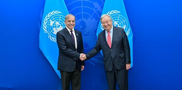 PM Shehbaz, PM Shehbaz UN chief